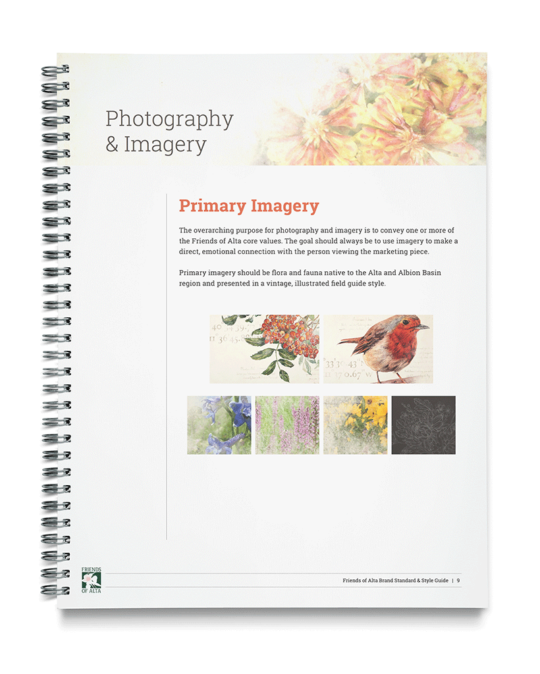 photography and imagery in catalog